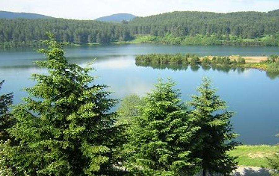 Parco nazionale della Sila 6