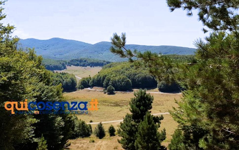 Parco nazionale della Sila 8