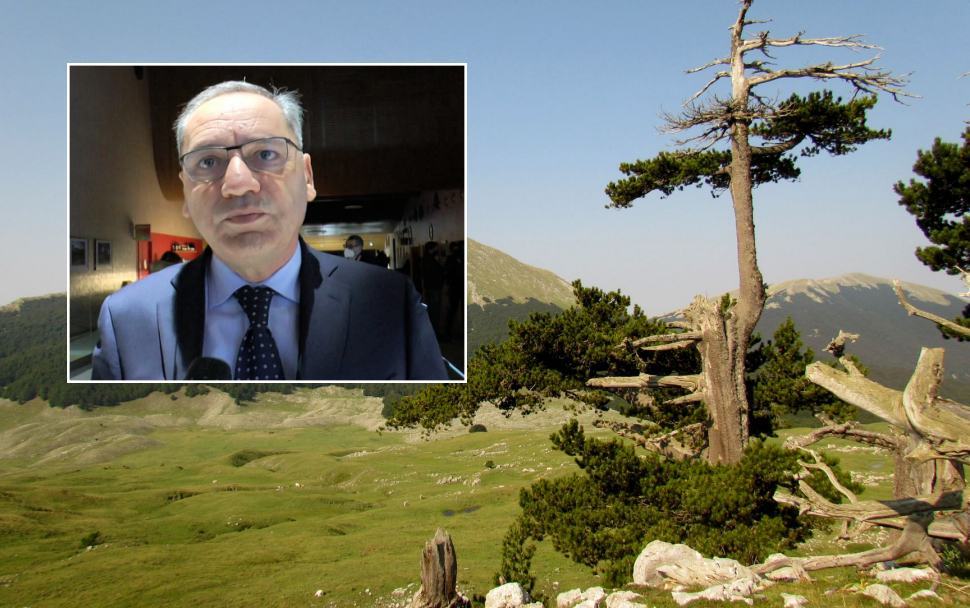 Parco nazonale del Pollino Domenico pappaterra