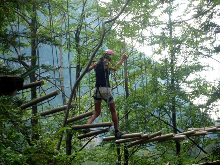 Appello parchi avventura calabresi: "fateci riaprire e prima del 15 giugno" 56 Parco.avventura cosenza longobucco calabria 1