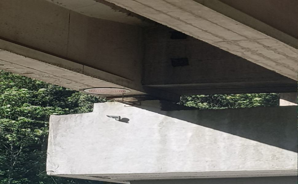 Chiuso tratto della Statale 283 Terme Luigiane, Magorno: "inaccettabile" 51 Particolare Viadotto 2 1