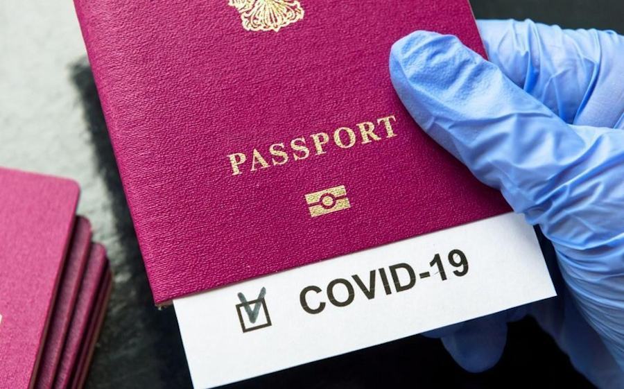 Turismo, la Calabria perde 284mln. Ma il pass vaccinale potrebbe salvare l'estate 59 Passaporto Covid 1