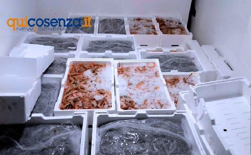 'Ndrangheta agroalimentare sempre più appetibile. Dal pesce ai dolci business da 24,5 mld 51 Pesce sequestrato 2