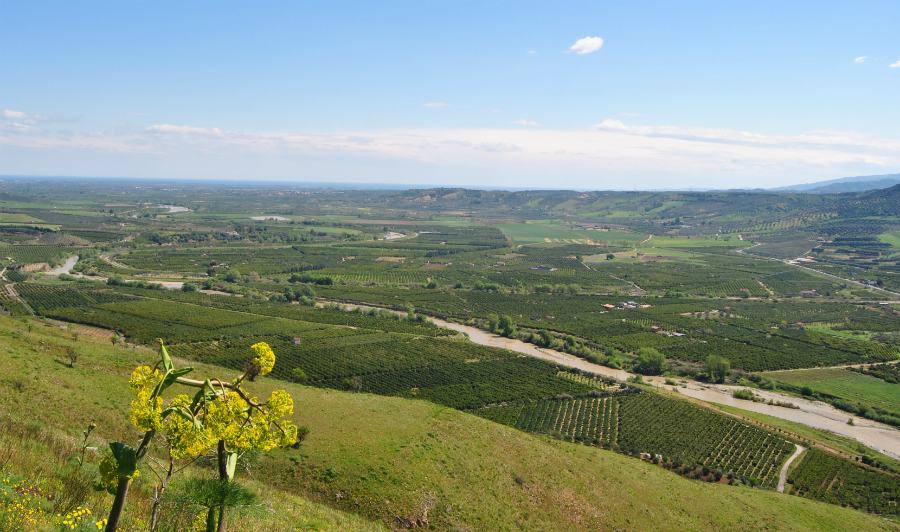 Piana di sibari 1