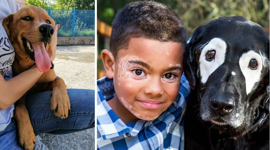 Poldina carter e rowdie