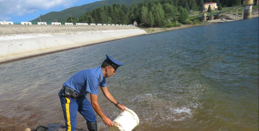 Polizia prov pesca frodo sila