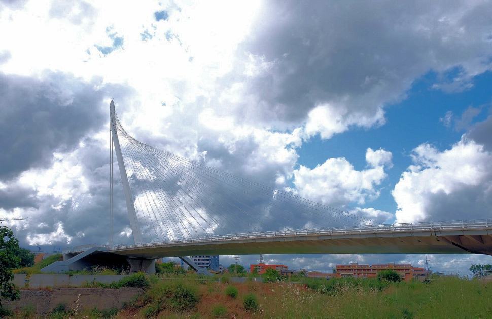 Cosenza, ok definitivo al progetto per collegare via Lupia al Ponte di Calatrava 51 Ponte di Calatrava1 1