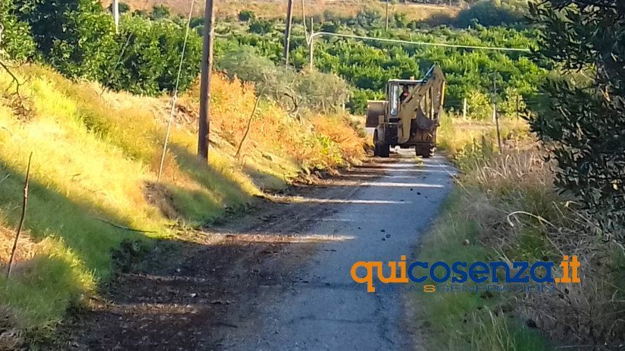 Pulizia strade interpoderali terranova05