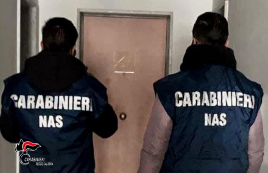 REGGIO CALABRIA I CARABINIERI NAS SEQUESTRANO CASA DI RIPOSO DEGLI ORRORI 3 PERSONE INDAGATE