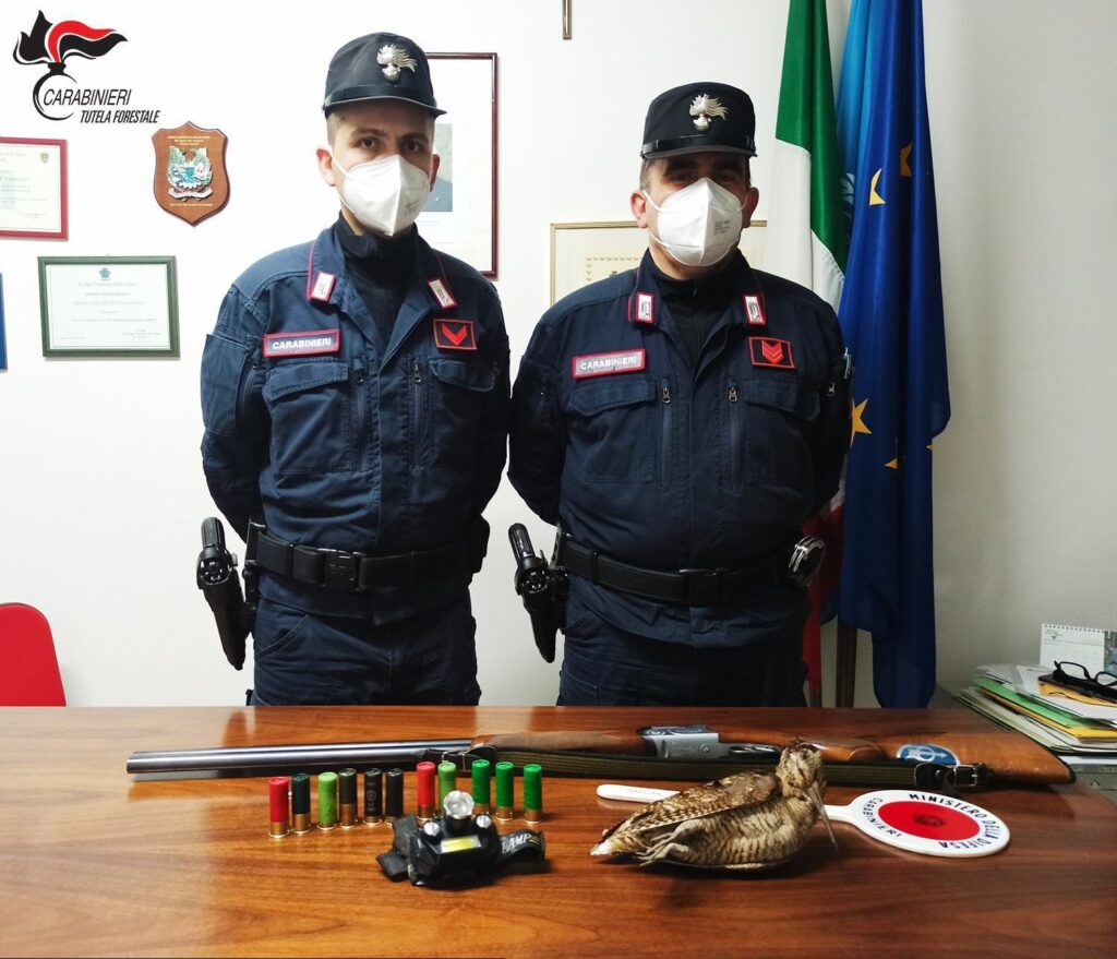 Rende, abbatte una beccaccia dopo l'orario consentito. Denunciato un cacciatore 1 Regione Carabinieri Calabria caccia beccaccia