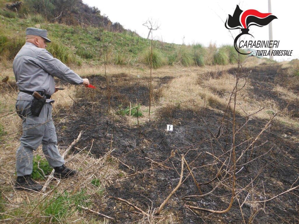 Regione Carabinieri Calabria incendio fiumefreddo 1