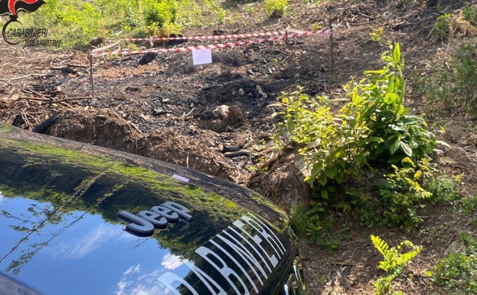 Montalto: bruciava pneumatici, denunciato 51 Regione Carabinieri smaltImento pneumatici montalto 1