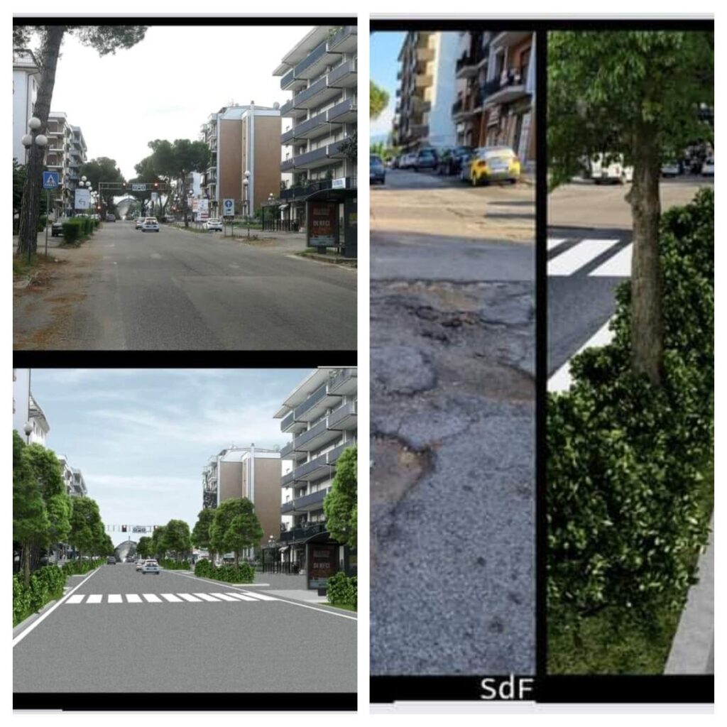 Rende, senza pini su via Leonardo da Vinci ma con "alberi più adatti". Il prima e il dopo 1 Rende rendering alberi