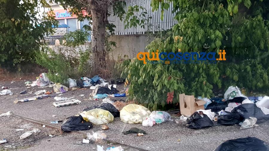 Rende rifiuti 107 Center Gross 02