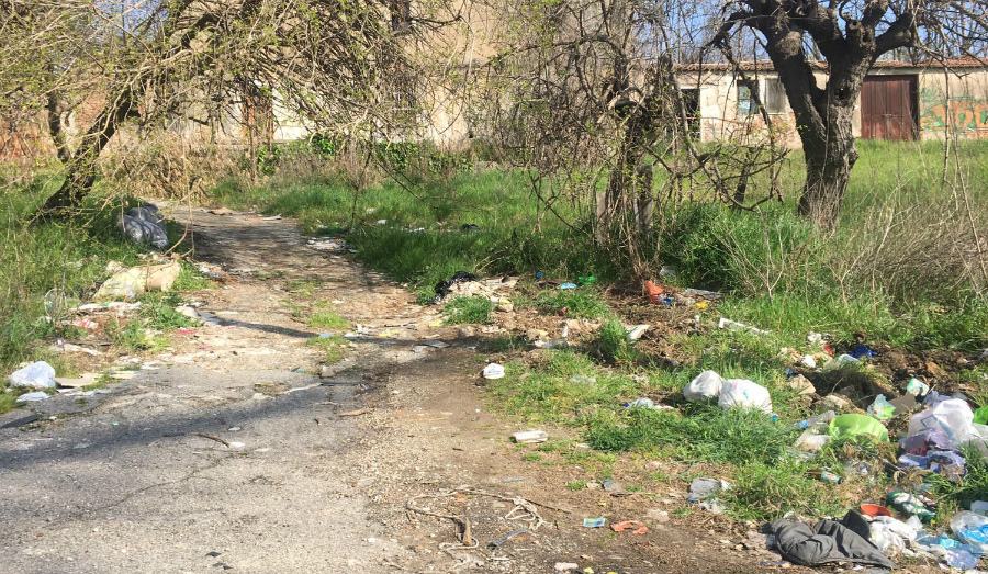 Rende via S Severo Unical rifiuti buche 03