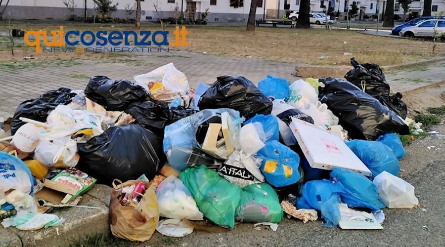 Rifiuti 11