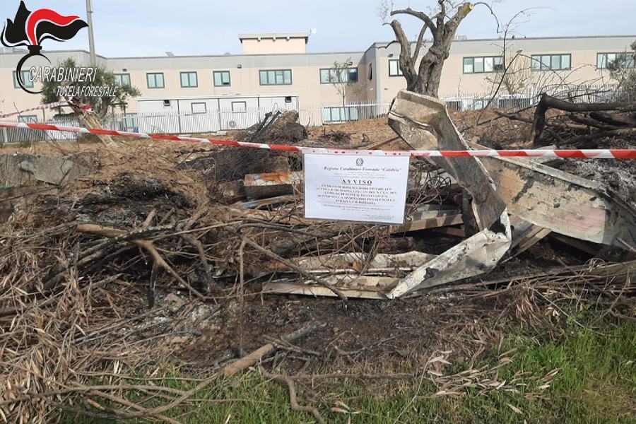 Montalto: bruciano rifiuti vicino al call center, scatta la denuncia per 3 persone 59 Rifiuti call center montalto cc forestali 01