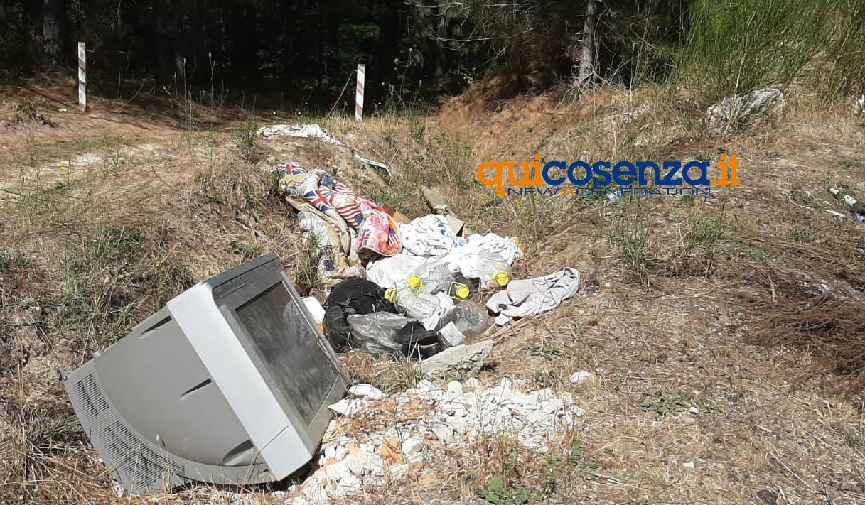 La Sila deturpata da incivili e trogloditi. Rifiuti abbandonati ovunque 61 Rifiuti e degrado sila 04