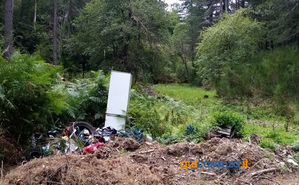 Discariche in Sila, rifiuti e ingombranti sulle sponde del fiume Mucone 51 Rifiuti mucone sila 04