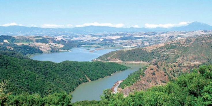 Riserva Tarsia 5 gallery.JPG 1