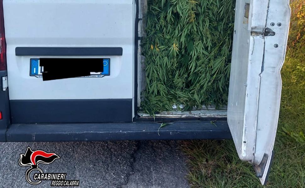 Trasporto e lavorazione della marijuana, quattro arresti 51 Rosarno marijuana