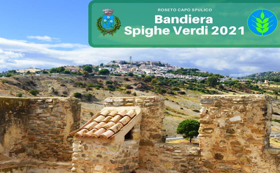Roseto capo spulico spighe verdi 2021 1