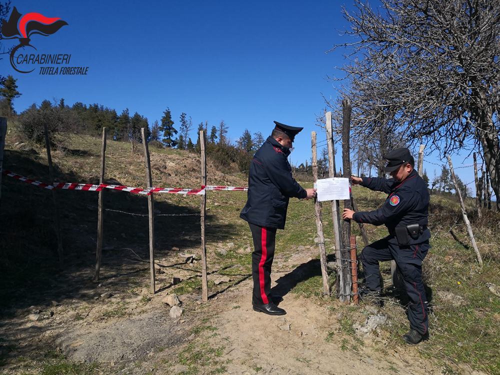 SEQUESTRO SCALA COELI