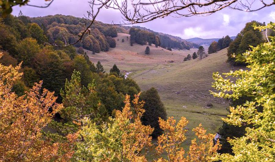 SILA patrimonio home