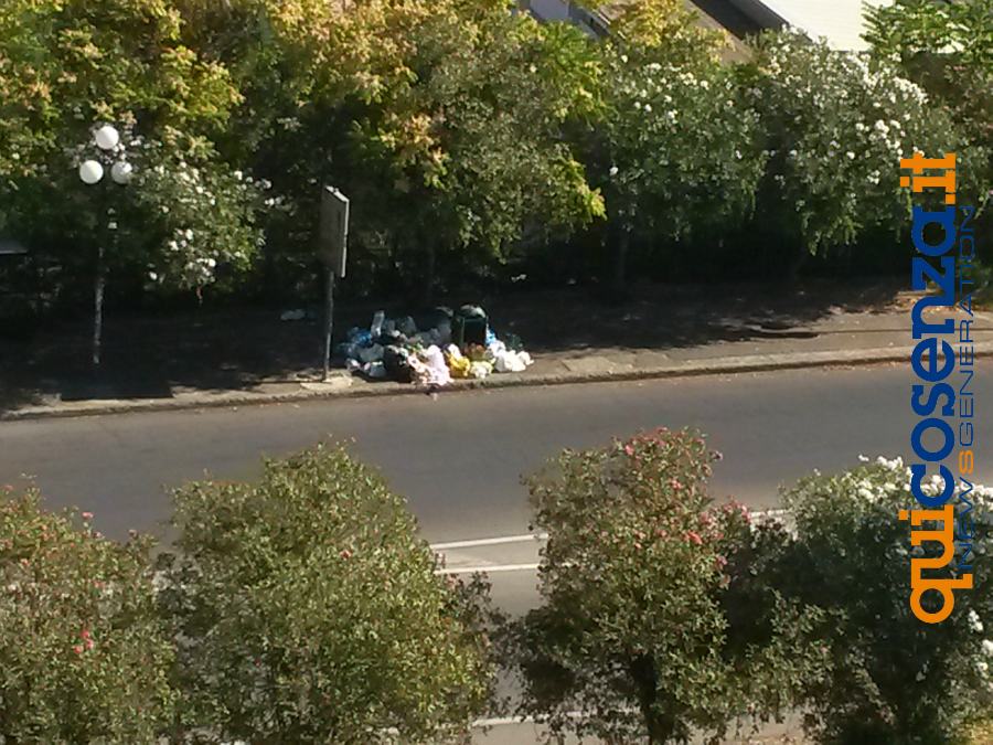 SPAZZATURA VIA BILOTTI3