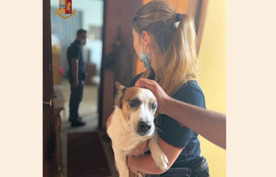 Salvati cane persone