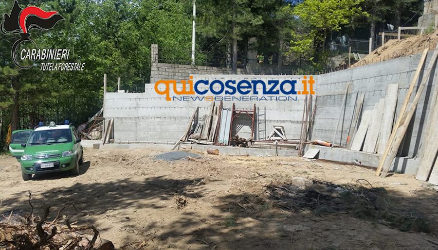 San Giovanni in Fiore forestale1