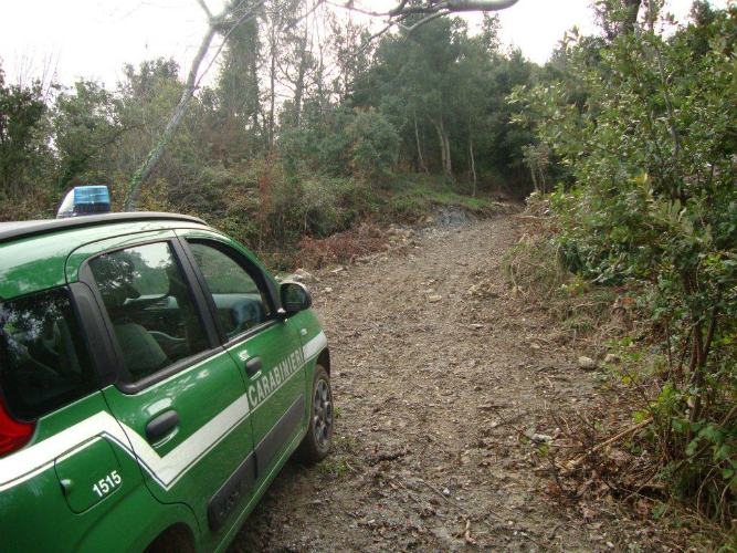 Costruisce abusivamente strada e gradoni, in area sottoposta a vincolo paesaggistico: denunciato 51 San Nicola