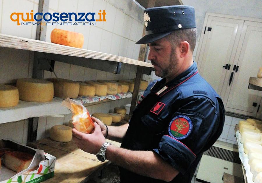 San giovanni in fiore forestali1