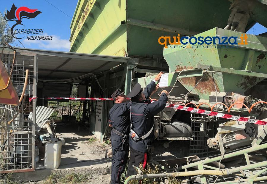 Scala Coeli carab forestali1