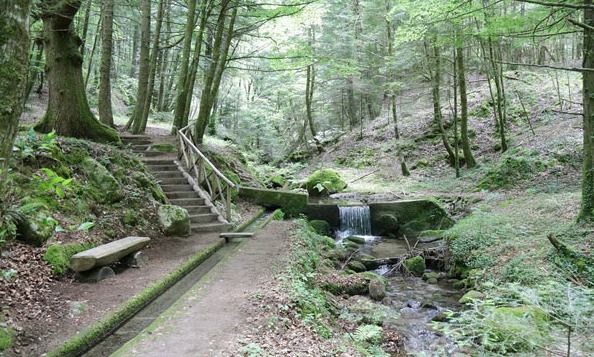 Sentiero Archifoto parco ok