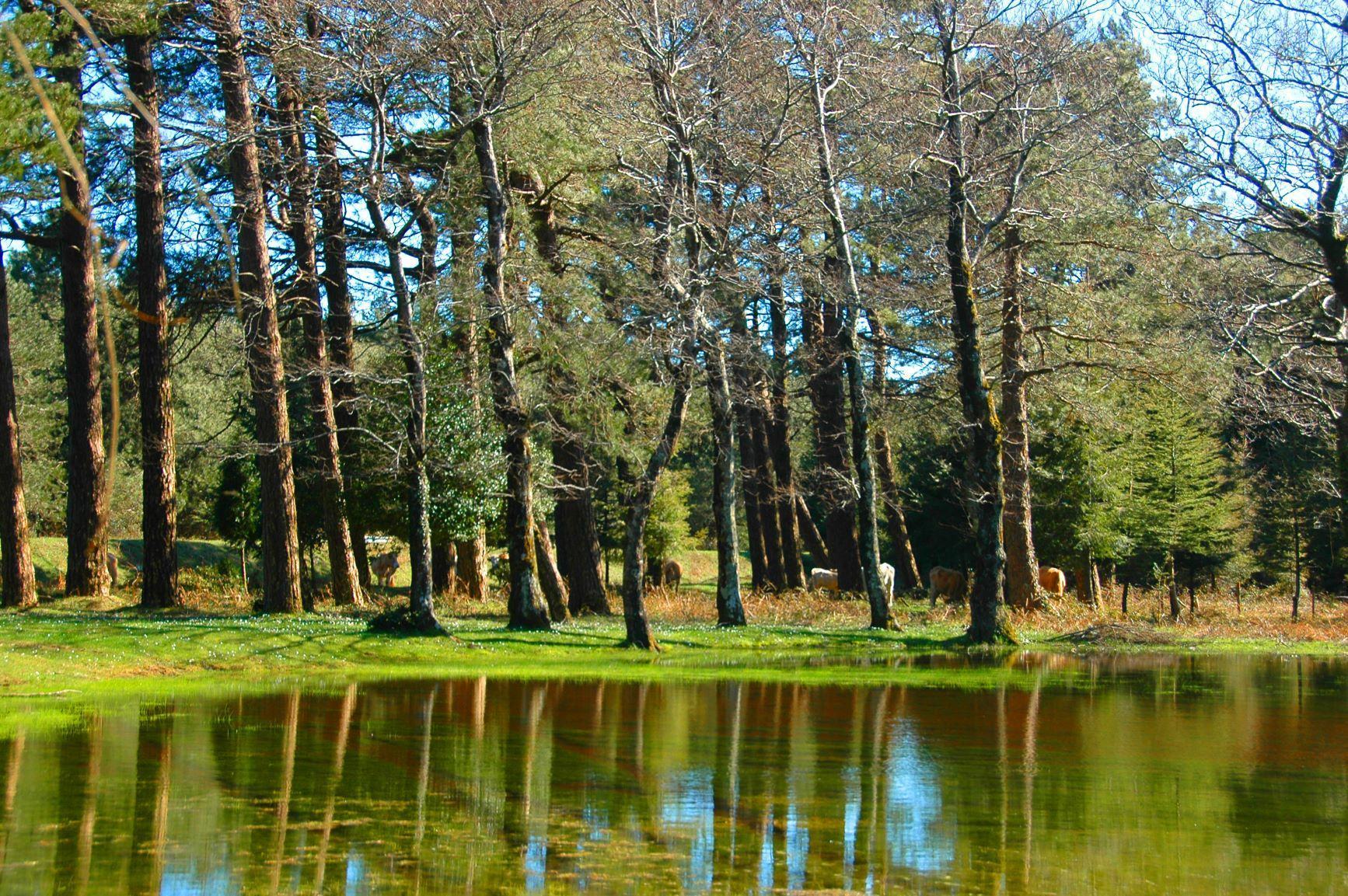 Sentiero del Brigante Santo Stefano in Aspromonte RC Foto GEA Gruppo Escursionisti Aspromonte 4 C FAI