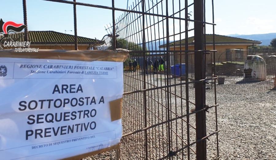 Sequestro canile comunale lamezia