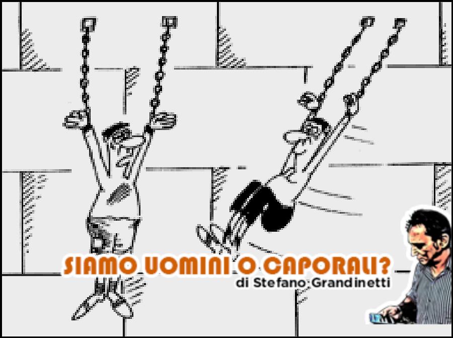 Siamouominicaporalimetro