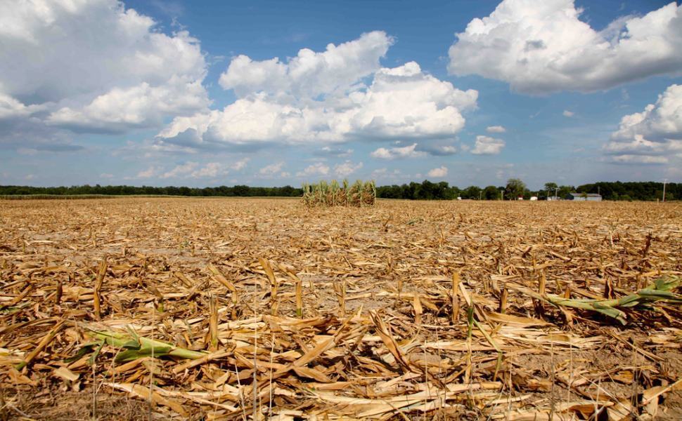Siccita agricoltura 1