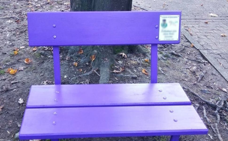 "Praticare la gentilezza", Rende inaugura le panchine viola 53 Sindaco Marcello Manna Assessore alla Gentilezza Artese Annamaria 2