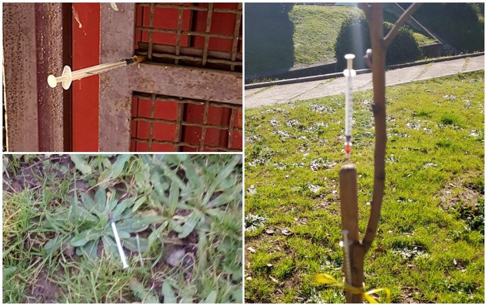 La denuncia - "Siringhe al Parco Robinson, preda di tossicodipendenti" 51 Siringhe parco Robinson Rende