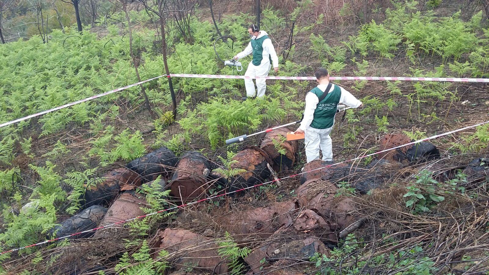 Fusti sospetti tra i boschi calabresi, avviati accertamenti (FOTO) 51 Sorianello 25