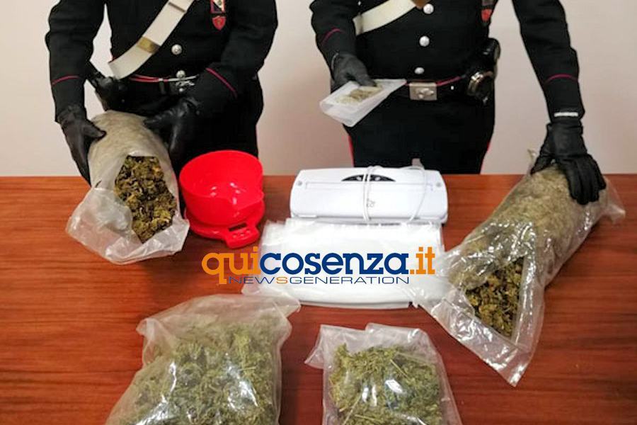 Spaccio Droga arresti