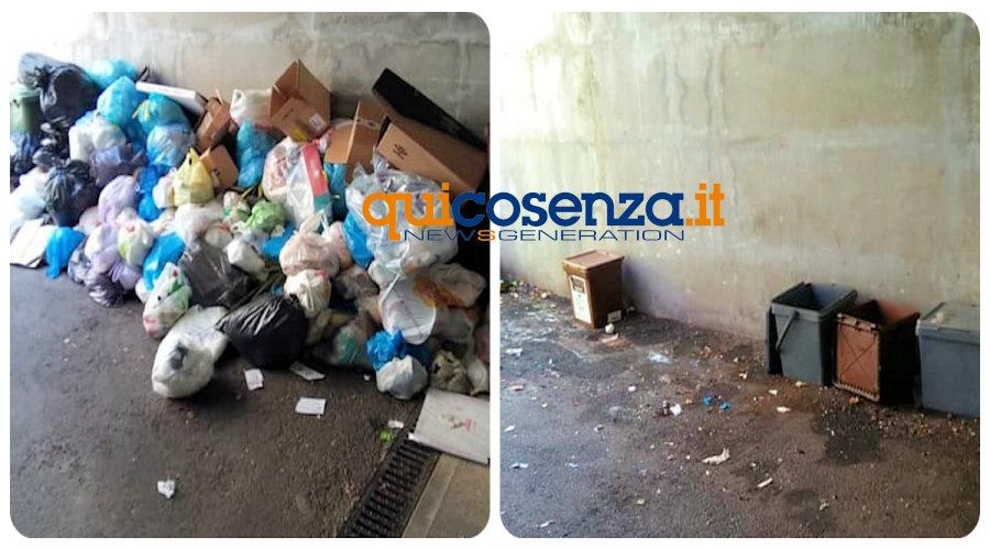 Spazzatura Cosenza pulizia