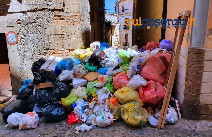 Rifiuti, D'Ippolito: "l'ordinanza della Santelli crea danni, va modificata subito" 53 Spazzatura Cosenza3 4
