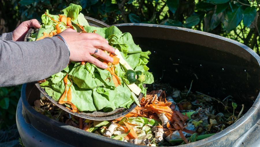 Spreco alimentare cibo nella spazzatura