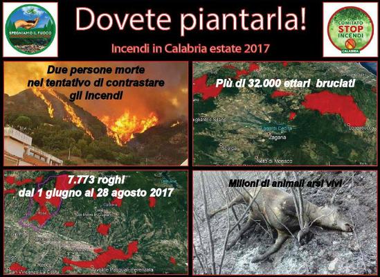Emergenza incendi, 14 Associazioni calabresi scrivono al Presidente Mattarella 51 Stop incendi