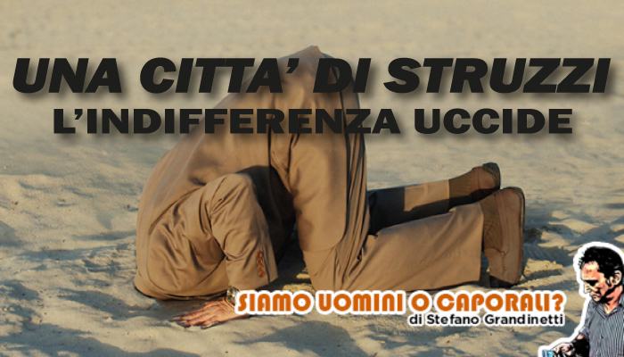 Struzzi grandinetti cosenza