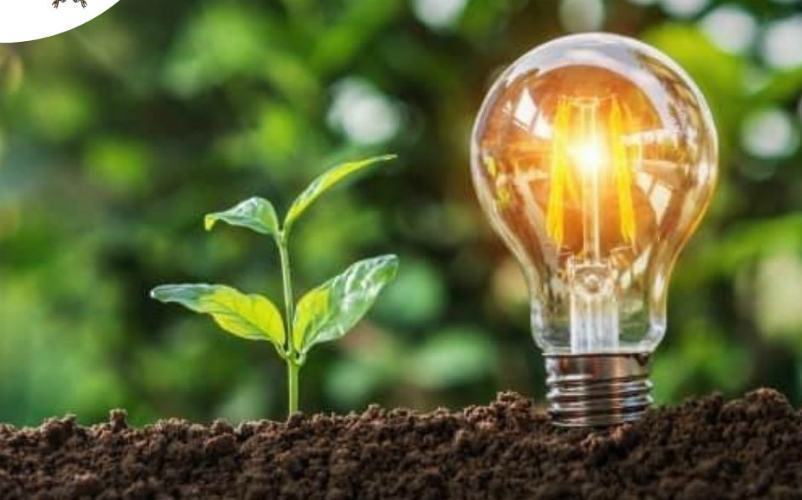 Trebisacce s'illumina di nuova luce: potenziamento energetico impianti pubblica illuminazione 59 TREBISACCE PROJECT FINANCING SULLILLUMINAZIONE