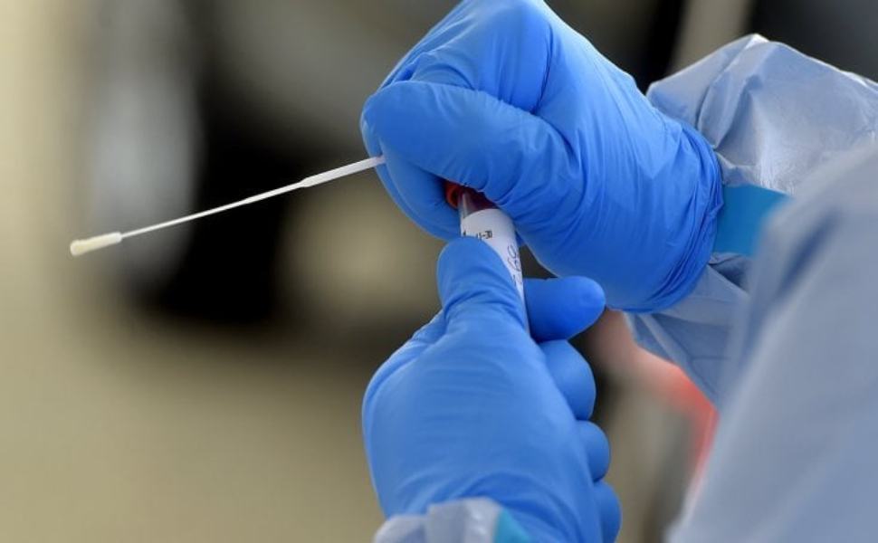 Covid: sospetto focolaio a Nicotera, partito il tracciamento dei contatti 51 Tamponi test covid 3